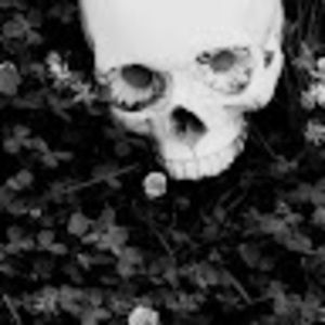 Meet your Posher, Johnston